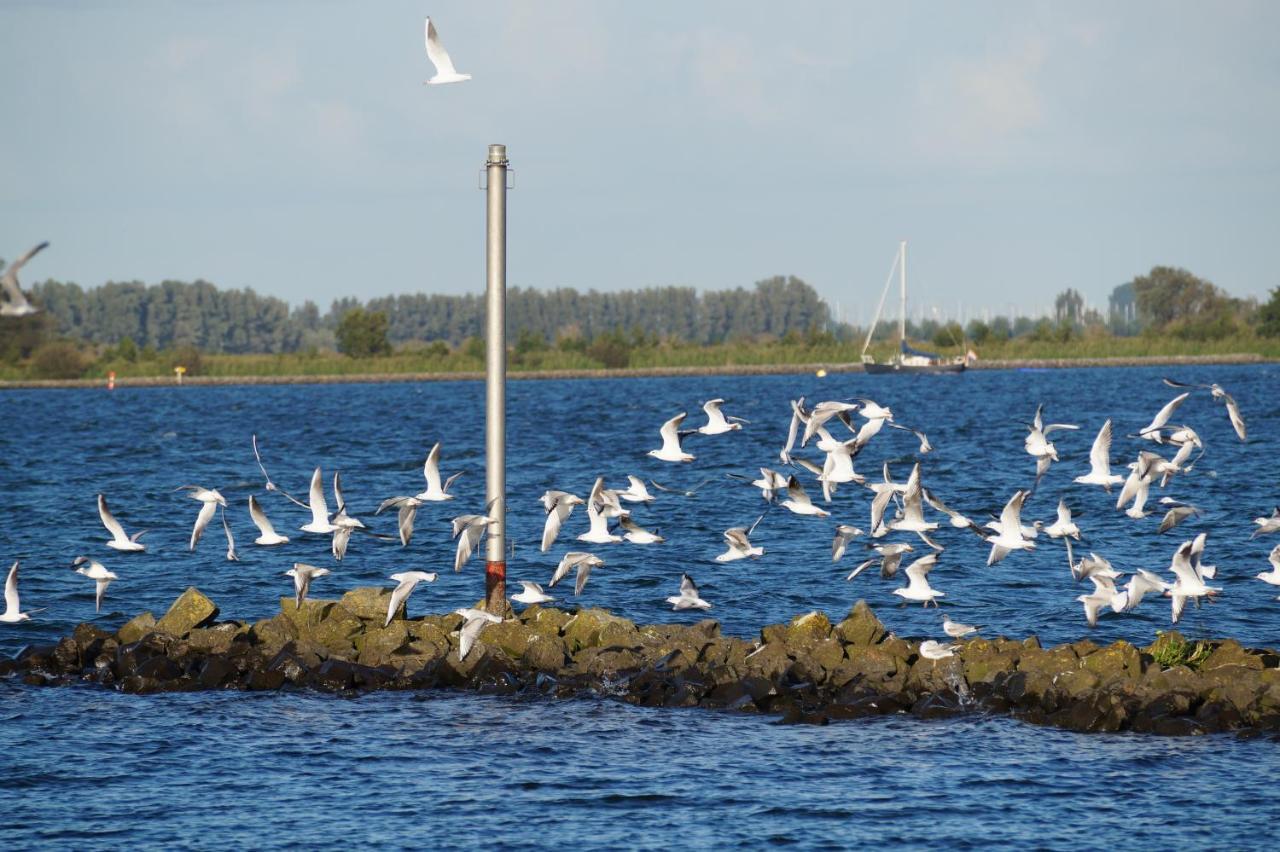 B&B Logeren Bij De Burgemeester Stad aan 't Haringvliet 외부 사진